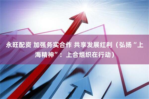 永旺配资 加强务实合作 共享发展红利（弘扬“上海精神”：上合组织在行动）