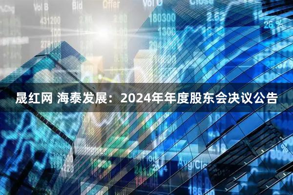 晟红网 海泰发展：2024年年度股东会决议公告