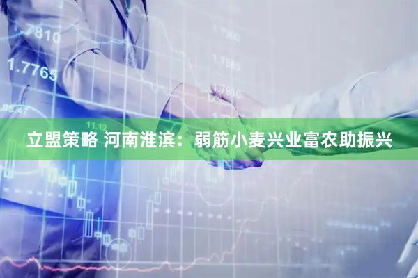 立盟策略 河南淮滨：弱筋小麦兴业富农助振兴