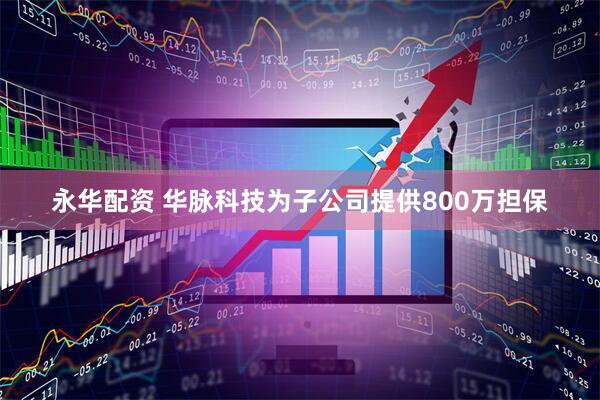 永华配资 华脉科技为子公司提供800万担保