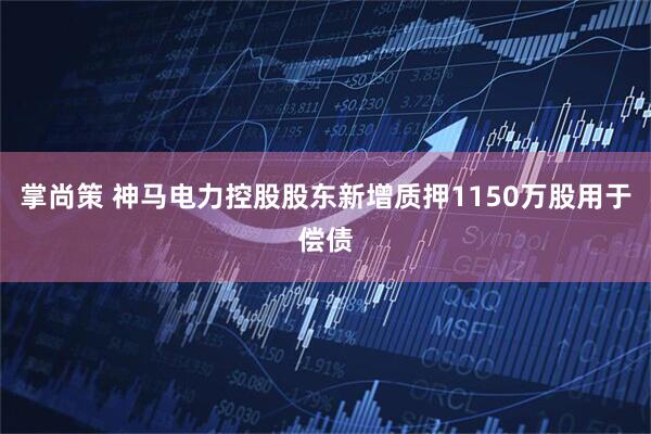 掌尚策 神马电力控股股东新增质押1150万股用于偿债