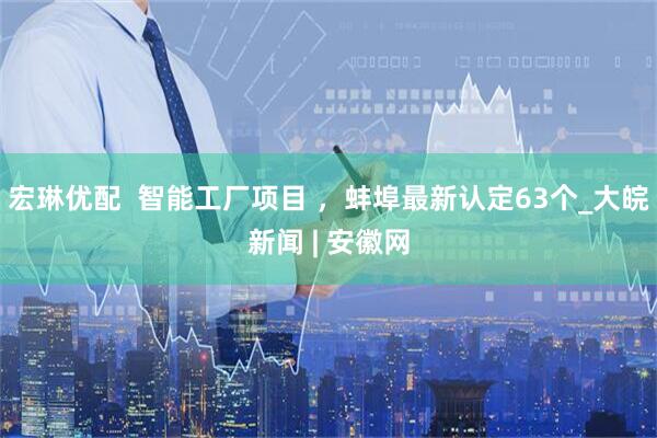 宏琳优配  智能工厂项目 ，蚌埠最新认定63个_大皖新闻 | 安徽网