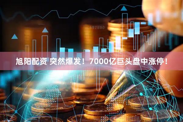 旭阳配资 突然爆发！7000亿巨头盘中涨停！