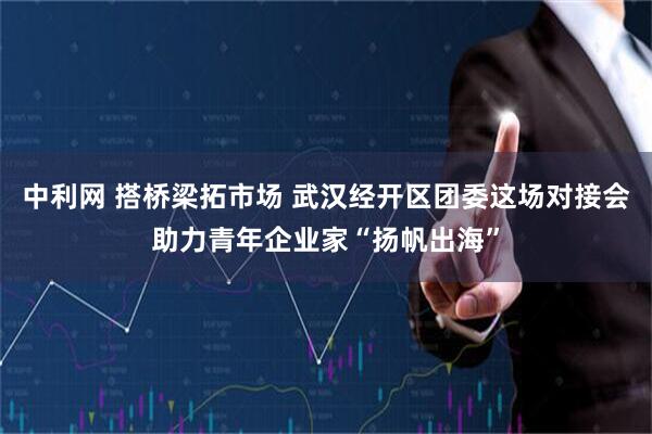 中利网 搭桥梁拓市场 武汉经开区团委这场对接会助力青年企业家“扬帆出海”