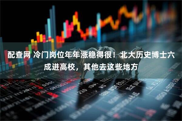 配查网 冷门岗位年年涨稳得很！北大历史博士六成进高校，其他去这些地方
