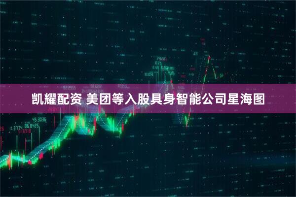 凯耀配资 美团等入股具身智能公司星海图