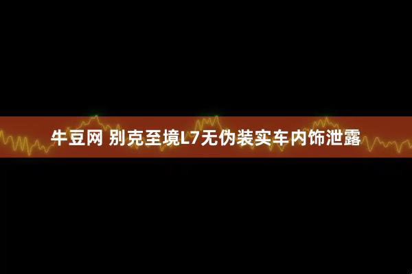 牛豆网 别克至境L7无伪装实车内饰泄露