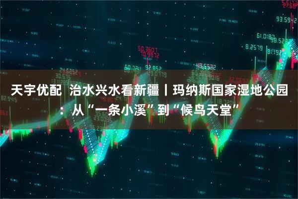 天宇优配  治水兴水看新疆丨玛纳斯国家湿地公园：从“一条小溪”到“候鸟天堂”