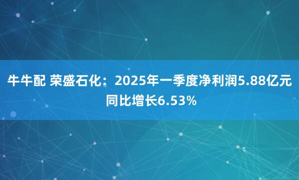 牛牛配 荣盛石化：2025年一季度净利润5.88亿元 同比增长6.53%
