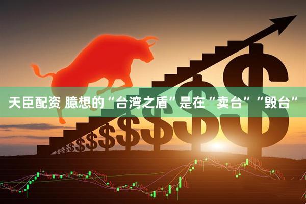 天臣配资 臆想的“台湾之盾”是在“卖台”“毁台”