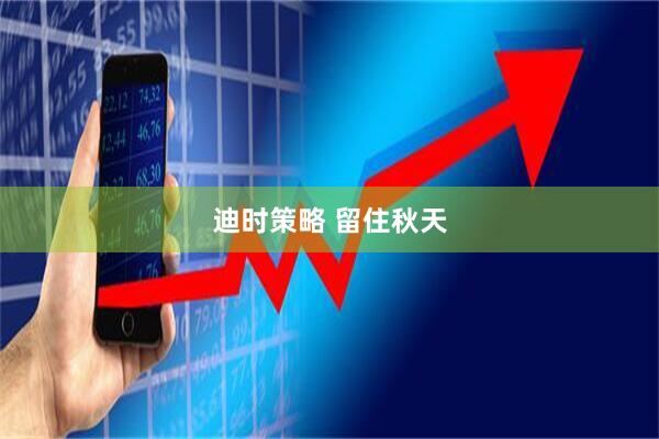 迪时策略 留住秋天