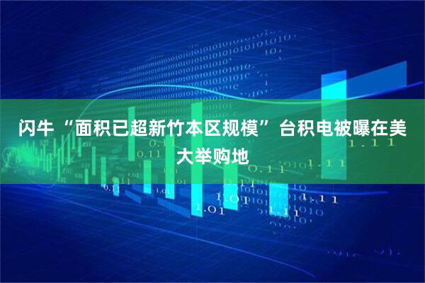 闪牛 “面积已超新竹本区规模” 台积电被曝在美大举购地