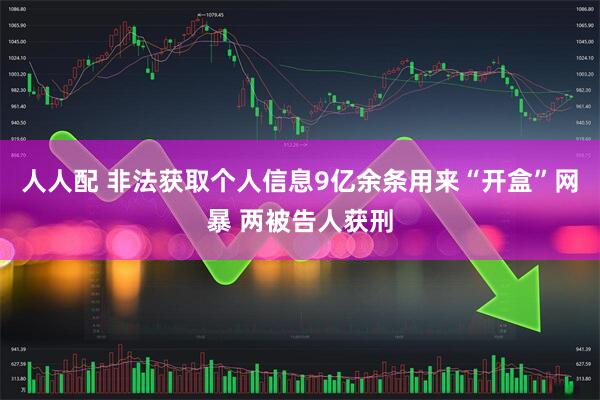 人人配 非法获取个人信息9亿余条用来“开盒”网暴 两被告人获刑